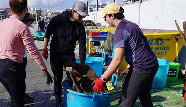 Over 3.5 tonnes of waste collected from Manoel Island Marina